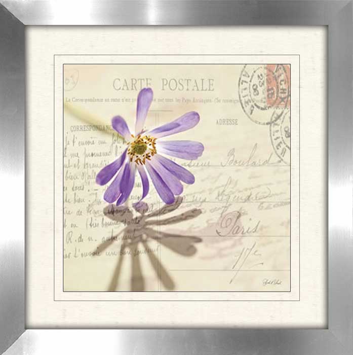 Vintage Letter and Purple Daisy