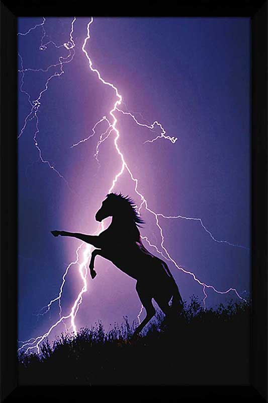 Lightning Horse