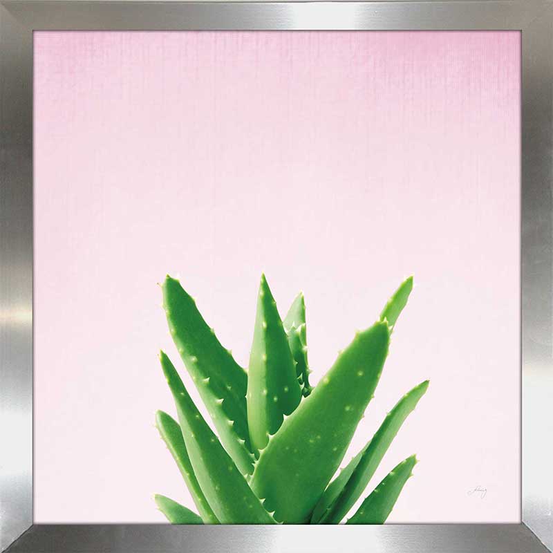 Succulent Simplicity V on Pink