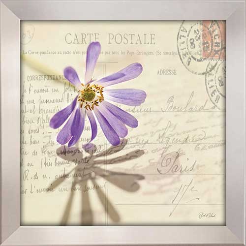 Vintage Letter and Purple Daisy