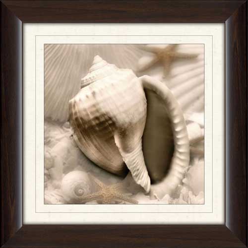 Iridescent Seashell III