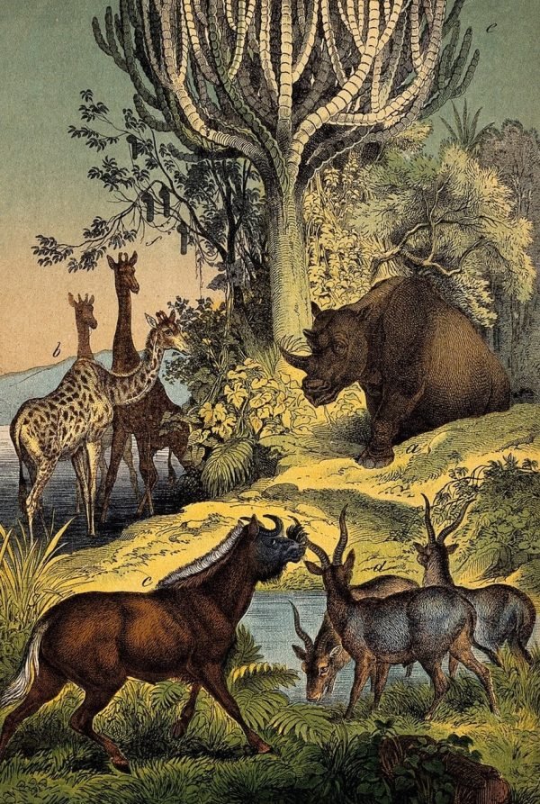 Jungle Mural