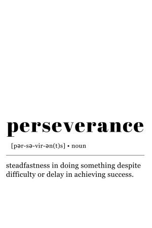 Perseverance Wall Art Definition quote framed poster print and canvas art