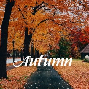 Autumn