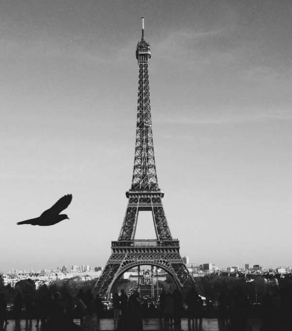 Black White Eiffel Tower framed poster and canvas wall art