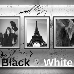 Black & White Photography Prints
