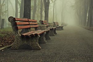 Foggy Park photography poster and canvas print