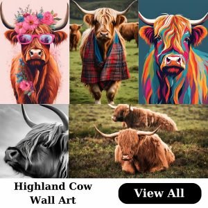 Highland Cows