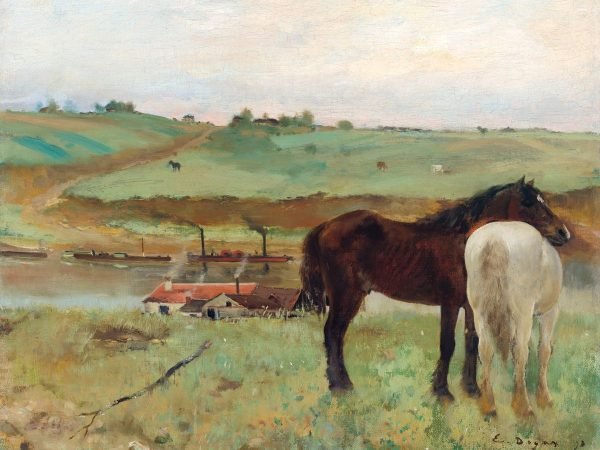 Horse in a Meadow Edgar Degas