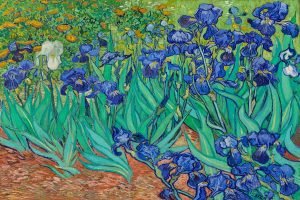 Irises Vincent Van Gogh poster and canvas art print