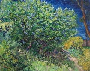 Lilacs (Lilac Bush) Vincent Van Gogh