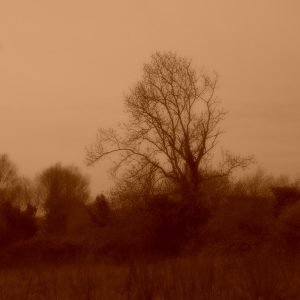 Sepia Tone