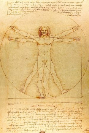 Vitruvian Man Print Leonardo Da Vinci, perfect proportions golden ratio human 3 hands body drawing, framed poster and canvas art print