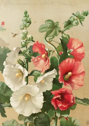 hollyhock manor canvas and poster framed floral wall art