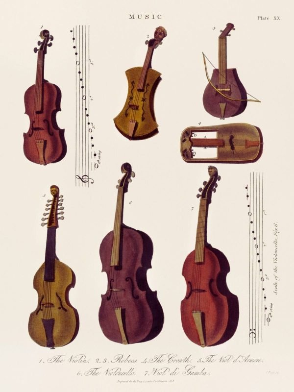 Antique Violin, Viola, Cello Poster and framed canvas art print