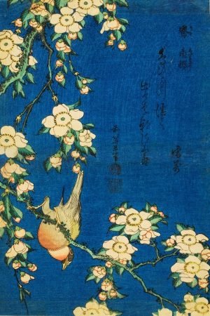 Bullfinch and Weeping Cherry Blossoms Katsushika Hokusai