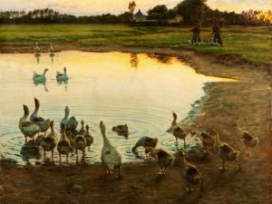 Geese at Sunset Viggo Johansen
