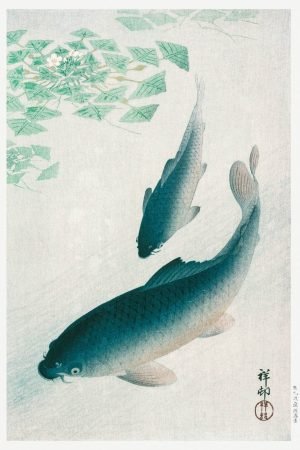 Japanese Turquoise Koi (Carp) Fish Painting Ohara Koson woodblock canvas art print and framed poster