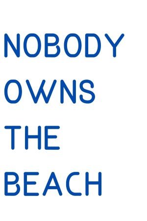Nobody Owns the Beach Poster