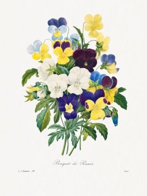 Pansy Bouquet Wall Art Pierre-Joseph Redouté poster and canvas print