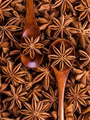 Star Anise Picture Print Framed poster and canvas wall art