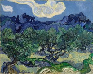 Vincent van Gogh The Olive Trees Painting canvas or poster print