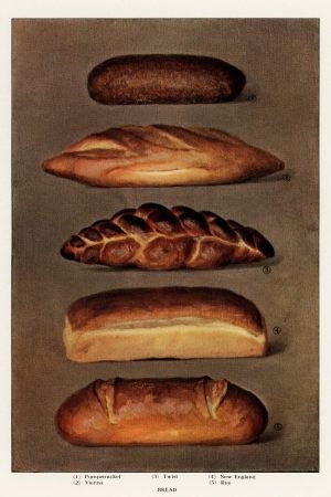 Vintage Types of Baked Bread Loaves wall art