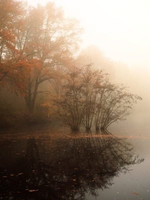 lakeside fog​ wall art canvas for living room