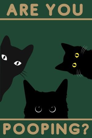 Are You Pooping Cat Poster print framed canvas wall art funny animals
