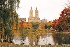 Autumn in New York photogtaphy framed poster print and canvas wall art