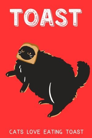 Black Cat Toast Poster funny canvas art print