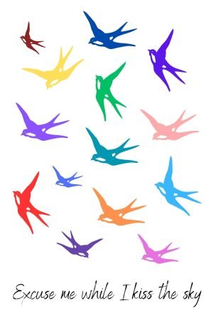 Excuse me while I kiss the sky Poster print and framed canvas wall art