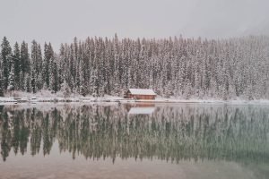 Lake Louise Winter Scenery Snowy Trees poster print and framed landscape canvas wall art