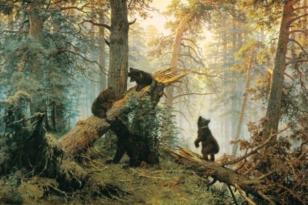 Morning in a Pine Forest Print by Ivan Shishkin framed poster and canvas wall art