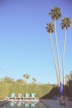 Palm Springs Pool and Trees Poster Print