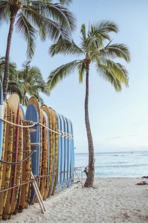 Surfboards Among Palms in Waikiki Beach poster print and framed canvas art