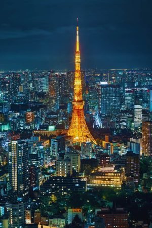 Tokyo Cityscape at Night Poster print and framd canvas wall art