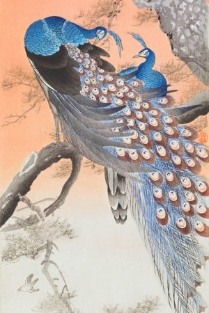 Two Peacocks on Tree Branch Ohara Koson art prints