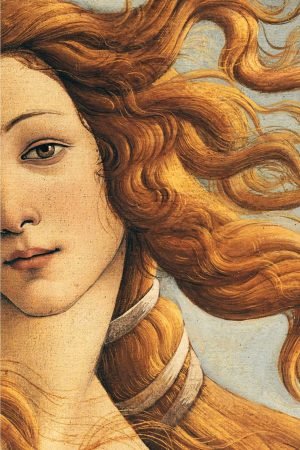 Botticelli's The Birth of Venus Face Print framed poster and painting canvas wall art