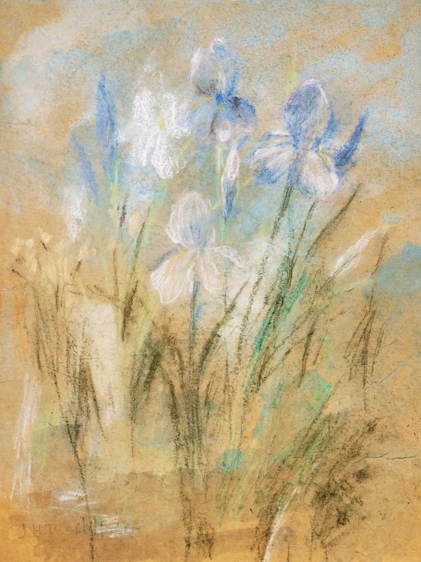 Irises Art Print John Henry Twachtman painting