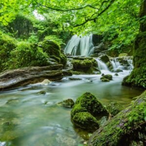 Unique Nature Wall Art​