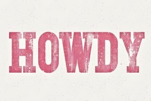 Retro Pink Howdy Poster Print Wall Decor, Preppy Cowgirl Framed Canvas Wall Art