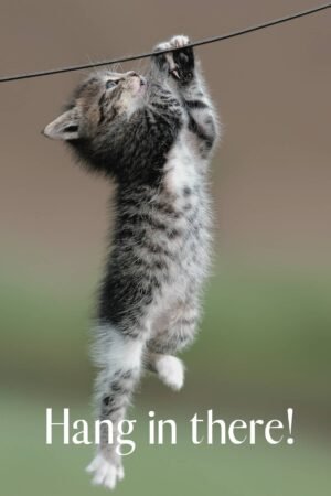 Hang in There Cat Poster, Motivational Kitten Picture Canvas Wall Art