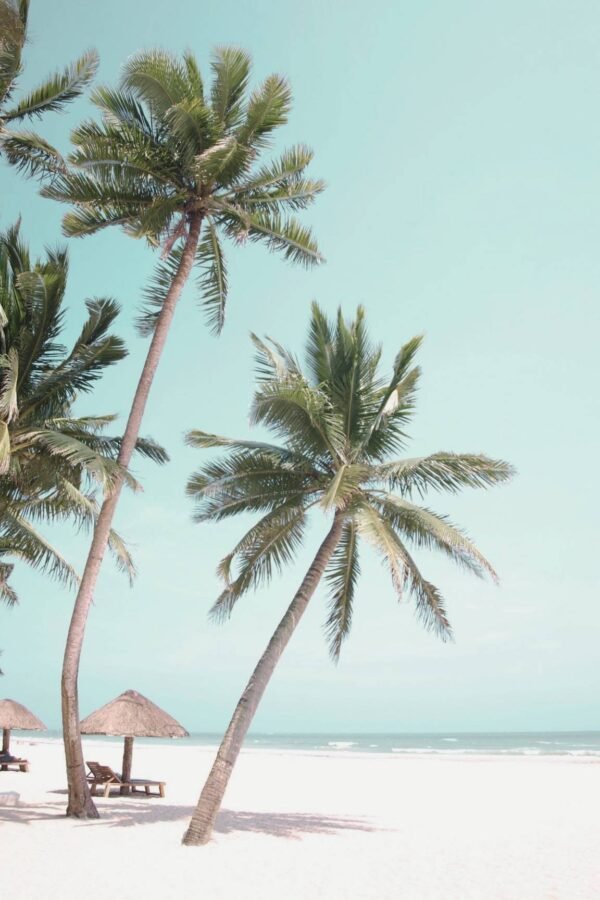 Modern Vertical Tropical Beach Scene on Canvas & Poster Print