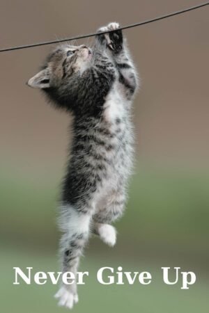 Never Give Up Cat Poster, Motivational Wall Art