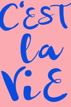 C'est La Vie Poster framed Canvas Wall Art Print