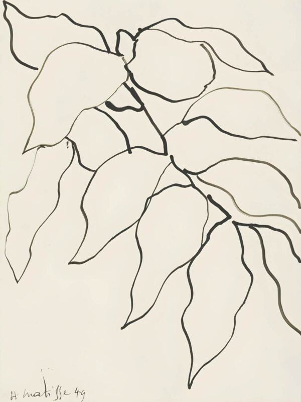 Henri Matisse Feuillage Poster, framed minimalist line drawing canvas wall art print