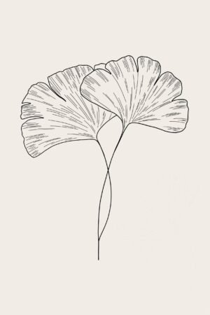 Minimalist Ginko Leaf Art Print framed pland line art canvas wall art and poster
