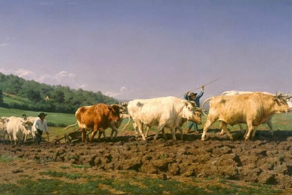 Ploughing in The Nivernais Print Rosa Bonheur