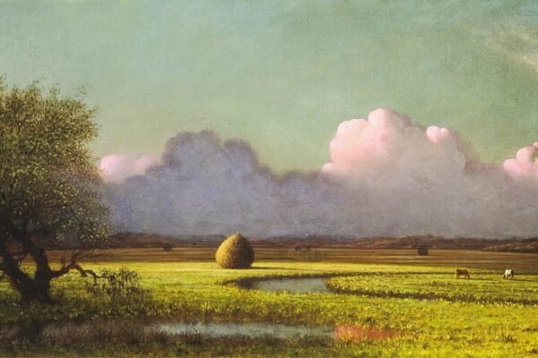 Sunlight and Shadow The Newbury Marshes Print by Martin Johnson Heade
